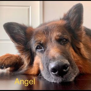 Meet your Posher, Avram